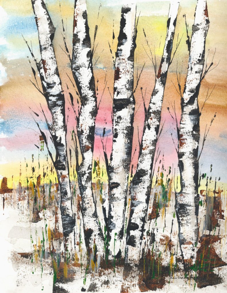 Birch Dreams