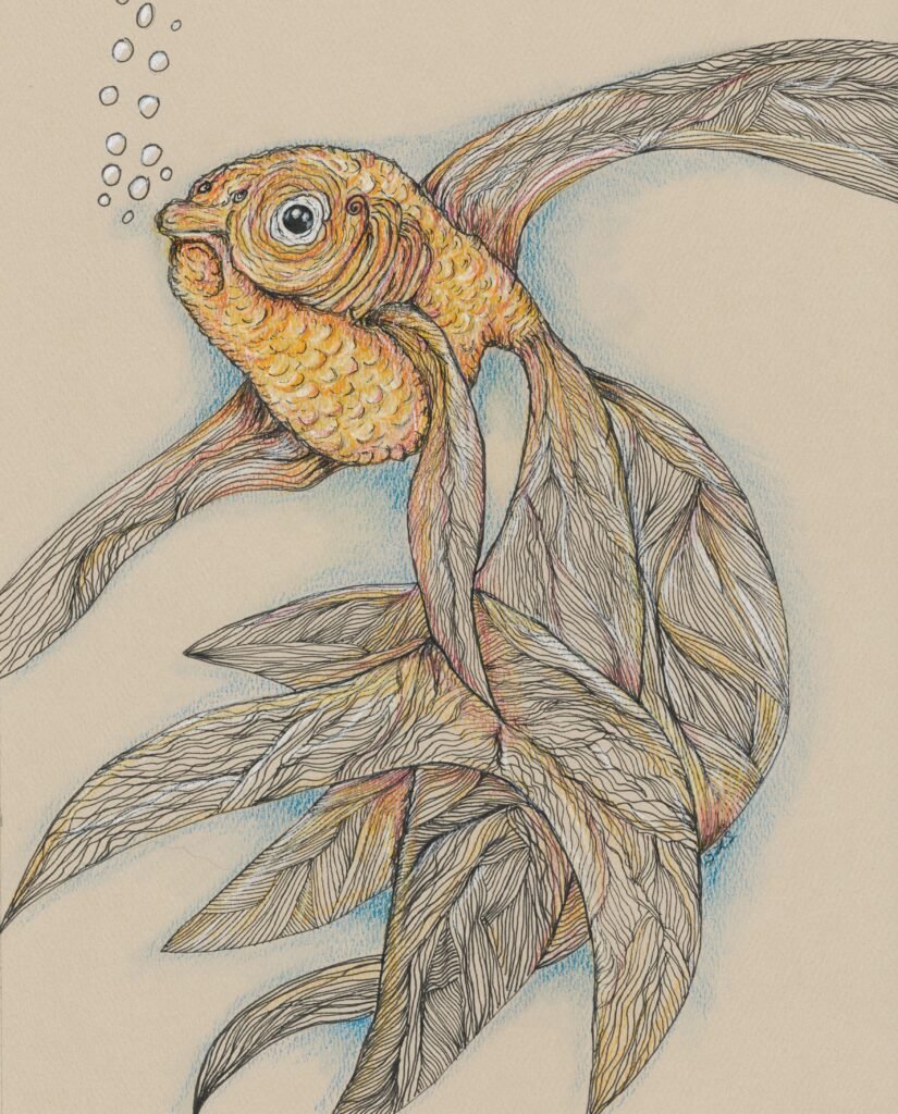Bubbles