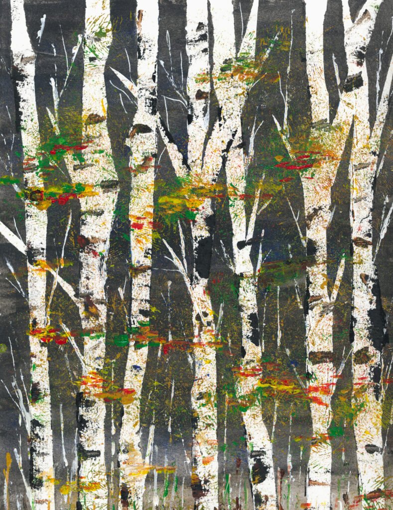 Mystic Birches