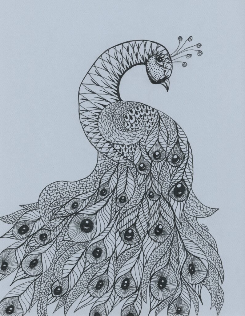 Pavo